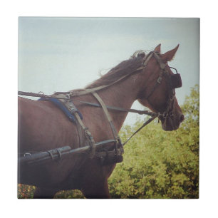 Azulejo De Cerámica Transporte de caballos arrastrados