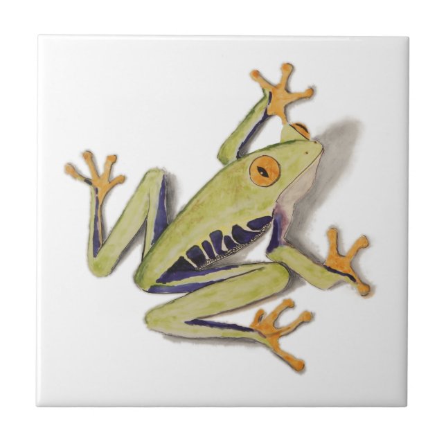 Azulejo De Cerámica treefrog.jpg (Frente)