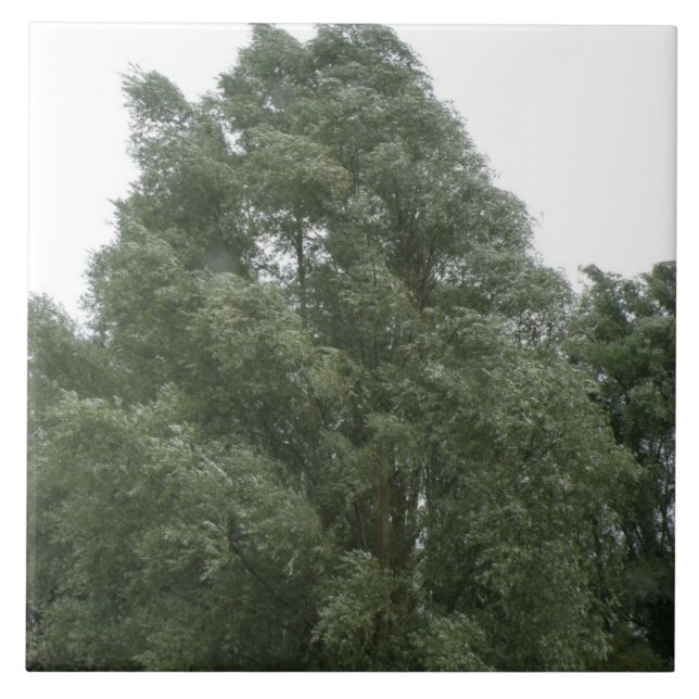 Azulejo De Cerámica Treetops Tile (Frente)