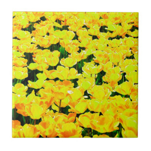 Azulejo De Cerámica Tulip field - amarillo dorado