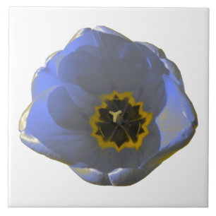 Azulejo De Cerámica Tulipán azul y amarillo