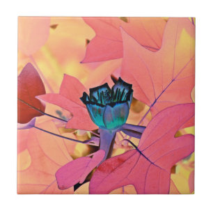 Azulejo De Cerámica Tulipán del árbol de álamo