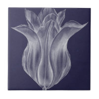 Tulipán III monocromo