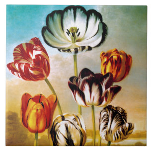 Azulejo De Cerámica Tulipanes bajo el cielo