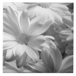 Azulejo De Cerámica Tulipanes en Keukenhof Gardens, Holanda.2