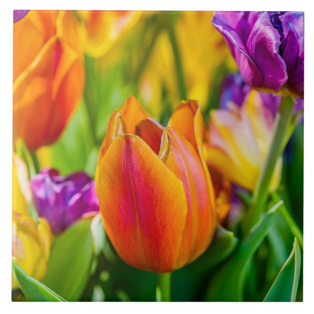 Azulejo De Cerámica Tulipanes Encantadores (Frente)