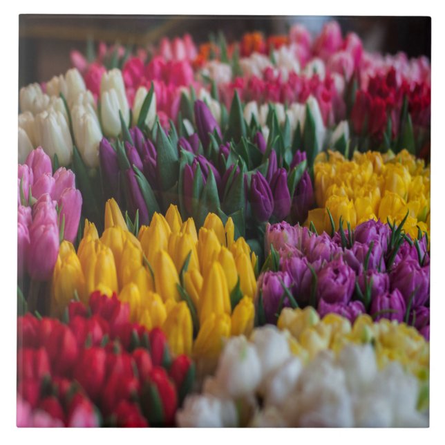 Azulejo De Cerámica Tulipanes multicolores (Frente)