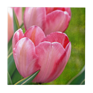 Azulejo De Cerámica Tulipanes rosados