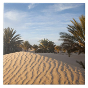 Azulejo De Cerámica Túnez, desierto del Sahara, Douz, Gran Duna, palme
