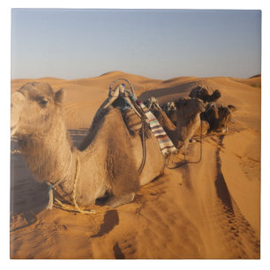 Azulejo De Cerámica Túnez, zona de Ksour, Ksar Ghilane, Gran Erg 5