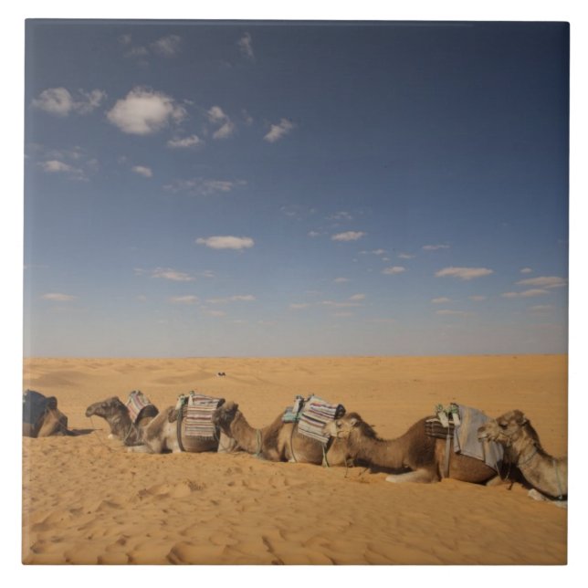 Azulejo De Cerámica Túnez, zona Ksour, Ksar Ghilane, Gran Erg 4 (Frente)