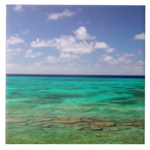 Azulejo De Cerámica Turcas y Caicos, Isla Gran Turca, Cockburn 3