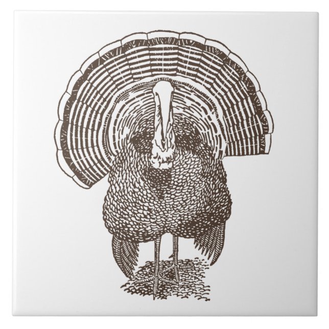 Azulejo De Cerámica Turquía (Frente)