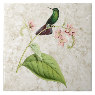Azulejo De Cerámica Tyrian Metalizado Tail Hummingbird Ceramic Tile