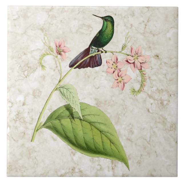 Azulejo De Cerámica Tyrian Metalizado Tail Hummingbird Ceramic Tile (Frente)