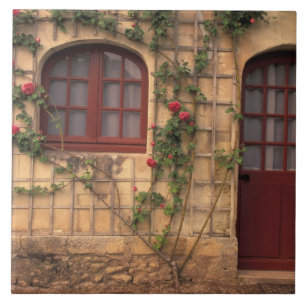Azulejo De Cerámica UE, Francia, Loire Valley, Indre y Loire