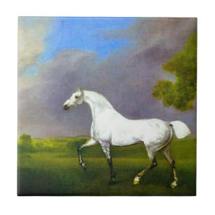Azulejo De Cerámica Un caballo gris de George Stubbs