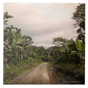 Azulejo De Cerámica Un camino alejado de la selva