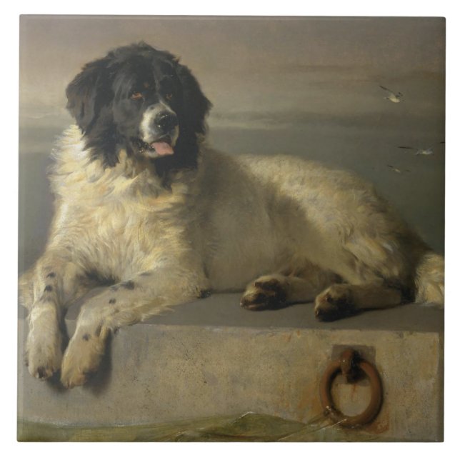 Azulejo De Cerámica Un miembro distinguido de la Sociedad Humana (Frente)