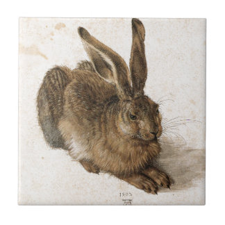 Azulejo De Cerámica Una liebre joven de Albrecht Durer
