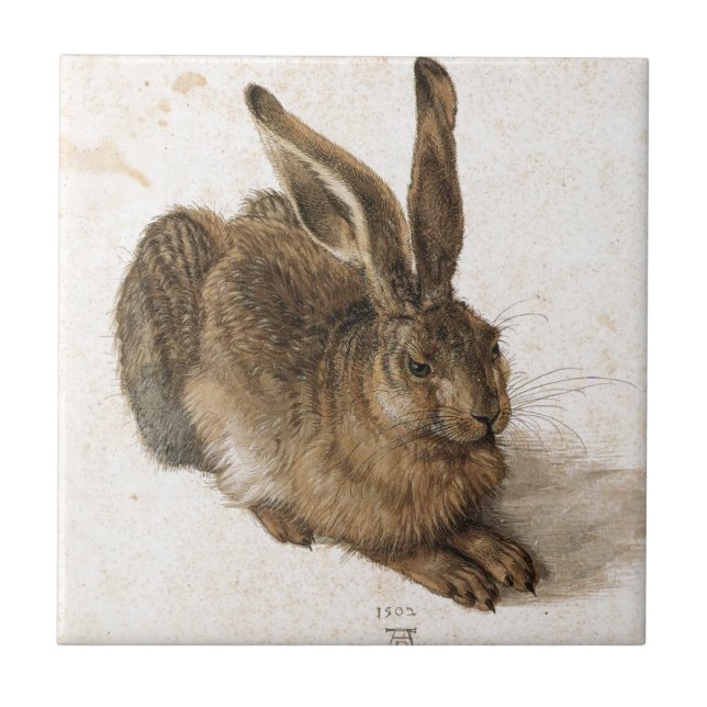 Azulejo De Cerámica Una liebre joven de Albrecht Durer (Frente)