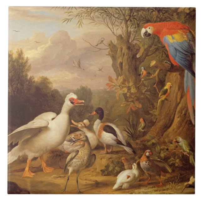 Azulejo De Cerámica Una macana, patos, loros y otras aves en tierra (Frente)