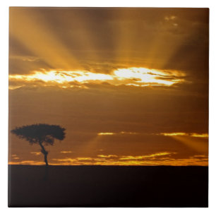 Azulejo De Cerámica Una salida del sol con la boca abierta en el Maasa