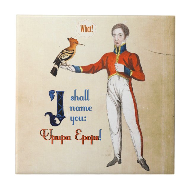 Azulejo De Cerámica Upupa Epops (Frente)