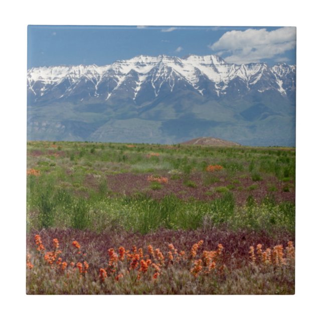 Azulejo De Cerámica Utah, EE. UU. El monte Timpanogos se eleva sobre (Frente)