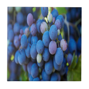 Azulejo De Cerámica Uvas
