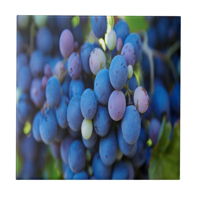 Azulejo De Cerámica Uvas (Frente)