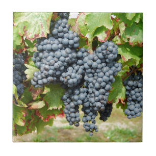 Azulejo De Cerámica Uvas de vino de Francia
