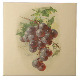 Azulejo De Cerámica Uvas del vintage