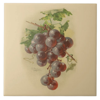 Azulejo De Cerámica Uvas del vintage