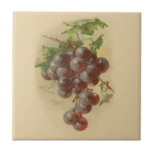 Azulejo De Cerámica Uvas del vintage