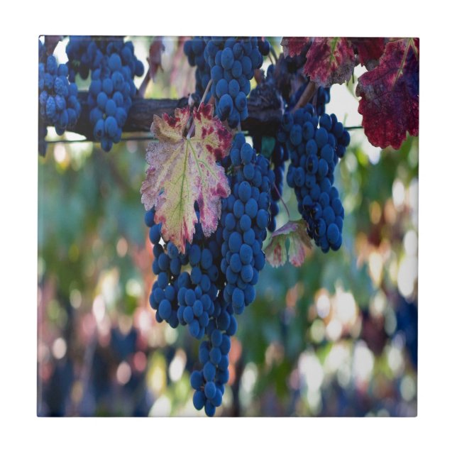 Azulejo De Cerámica Uvas en un vino (Frente)