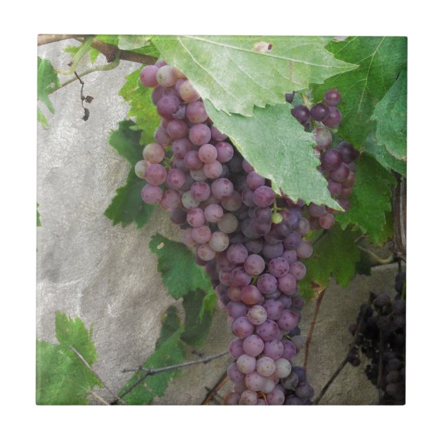 Azulejo De Cerámica Uvas moradas en el vino (Frente)