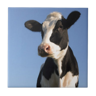 Azulejo De Cerámica Vaca atenta