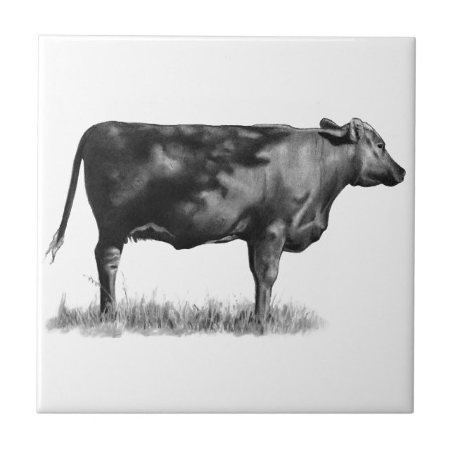 Azulejo De Cerámica Vaca de ganado/novilla en lápiz: Realismo: Dibujo (Frente)