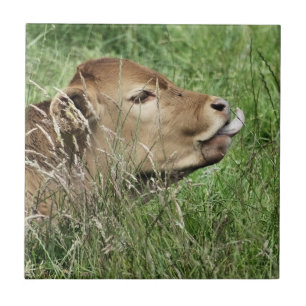 AZULEJO DE CERÁMICA VACA LINDA