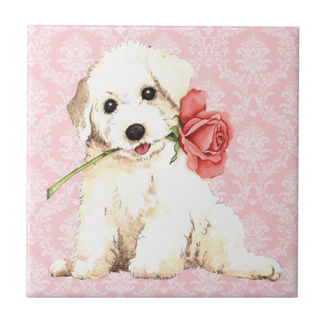 Azulejo De Cerámica Valentine Rosa Bichon (Frente)