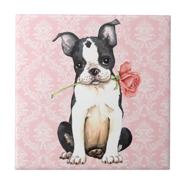 Azulejo De Cerámica Valentine Rosa Boston Terrier (Frente)
