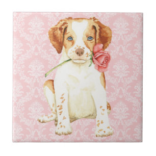 Azulejo De Cerámica Valentine Rosa Brittany