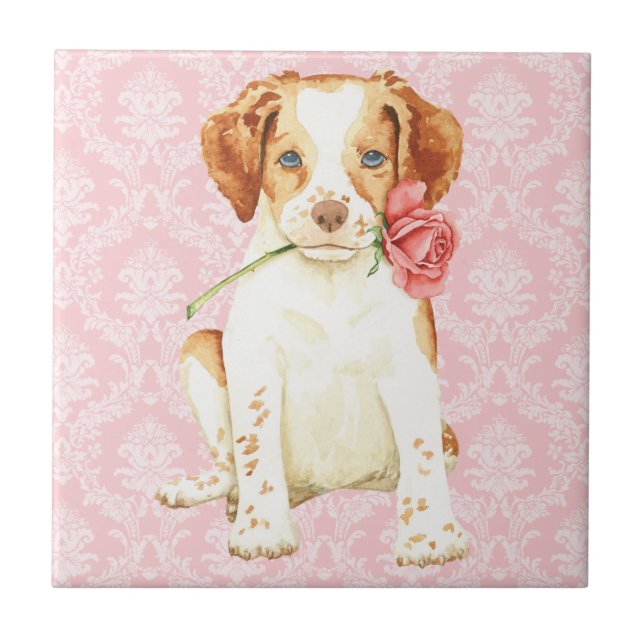 Azulejo De Cerámica Valentine Rosa Brittany (Frente)