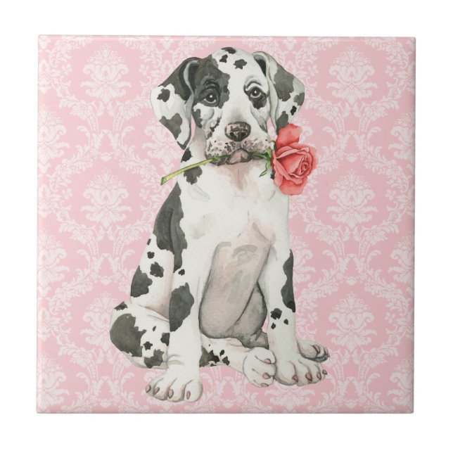 Azulejo De Cerámica Valentine Rosa Great Dane (Frente)