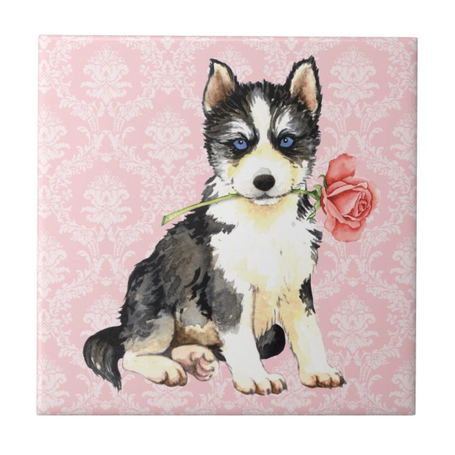 Azulejo De Cerámica Valentine Rosa Husky (Frente)