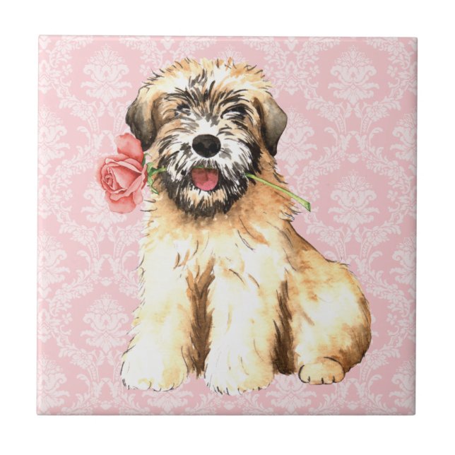 Azulejo De Cerámica Valentine Rosa Wheaten (Frente)