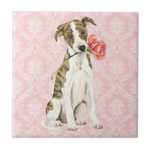 Azulejo De Cerámica Valentine Rosa Whippet