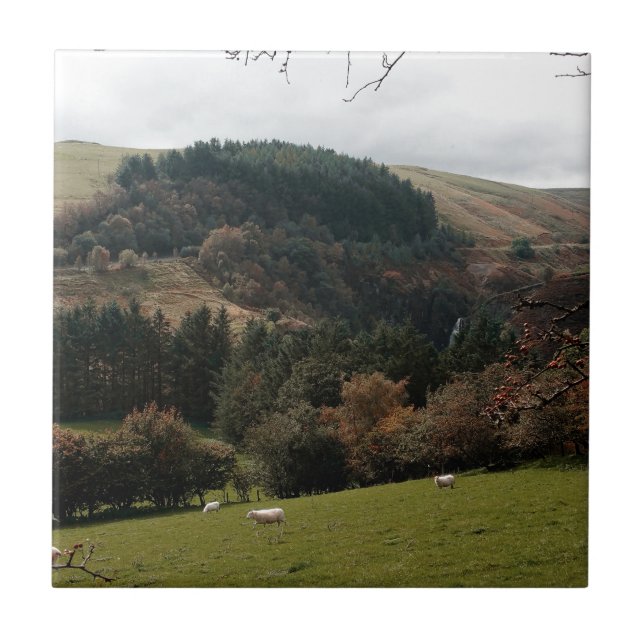 Azulejo De Cerámica Valle Pennant de Gales (Frente)