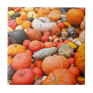 Azulejo De Cerámica Variedad de calabaza a la venta, Alemania